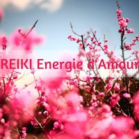 Reiki cerisier ciel1